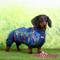Шикарный дождевик синего цвета для такс мальчиков, ForMyDogs - Димон-Камон, одежда для собак