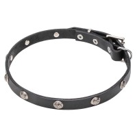 Узкий кожаный ошейник для тренировки собак ForDogTrainers - Димон-Камон, одежда для собак