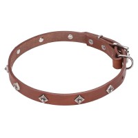 Узкий кожаный ошейник для занятий с собакой ForDogTrainers - Димон-Камон, одежда для собак