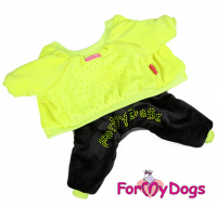 Велюровый костюм с подкладкой из меха для маленьких собак, очень теплый, ForMyDogs - Димон-Камон, одежда для собак