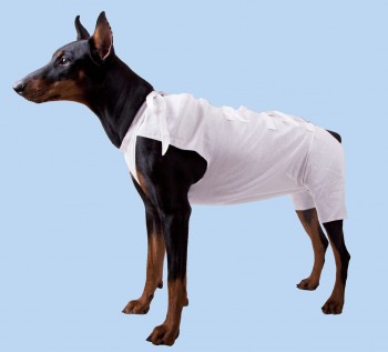 Послеоперационная попона для собак, OSSO - Димон-Камон, одежда для собак