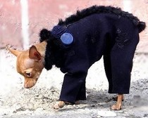 Пальто на подкладке для собак - Димон-Камон, одежда для собак
