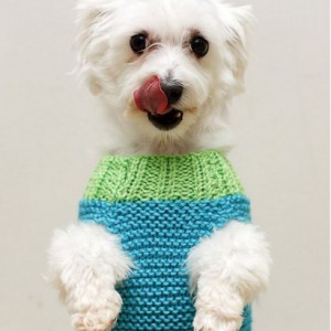 Как сделать простую собачью кофту  - Димон-Камон, одежда для собак