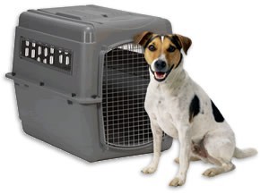 Контейнер для перевозки животных - Димон-Камон, одежда для собак