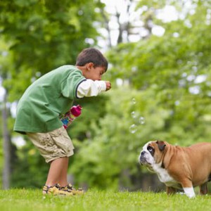 Гармония между детьми и собаками - Димон-Камон, одежда для собак