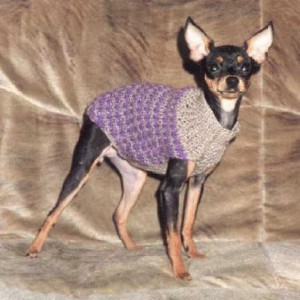 Свитерочек-лепесточек для маленькой собаки. Часть 1 - Димон-Камон, одежда для собак