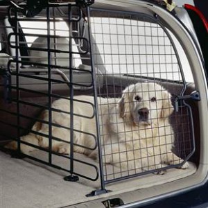 Автомобильные перегородки и сетки на окна для собак - Димон-Камон, одежда для собак