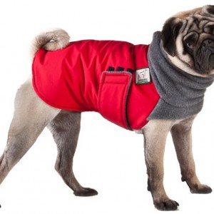 Разновидность одежды для собак - Димон-Камон, одежда для собак