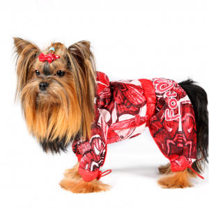 Болоньевый комбинезон для собак - Димон-Камон, одежда для собак