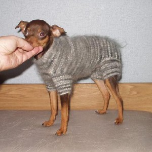 Комбинезон из мохера для собаки - Димон-Камон, одежда для собак