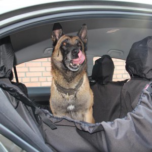 Авто-гамак для перевозки собаки в автомобиле - Димон-Камон, одежда для собак