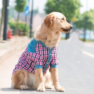 Модная одежда для собак - Димон-Камон, одежда для собак