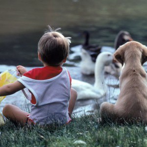 Собака - как способ воспитания ребенка - Димон-Камон, одежда для собак