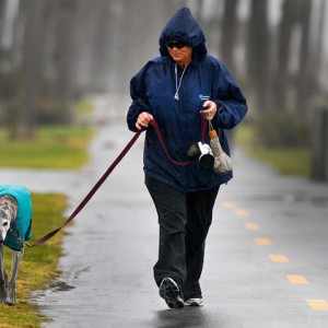 Прогулки с собакой под дождем - Димон-Камон, одежда для собак