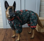 Малинуа г. Алексин